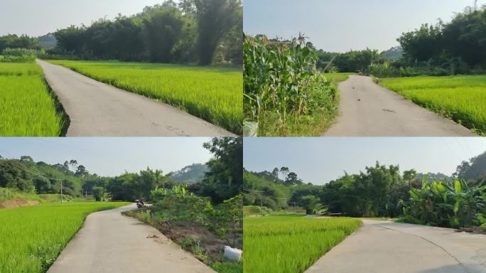 阳光小路唯美乡间小道水泥硬化路绿色田野
