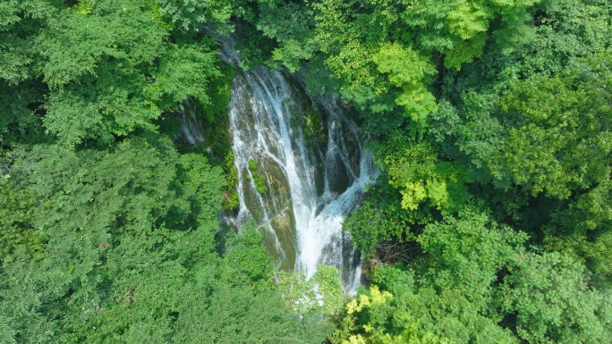 4k大自然清澈的水流 森林中山泉瀑布
