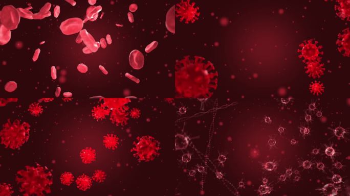 红细胞冠状病毒