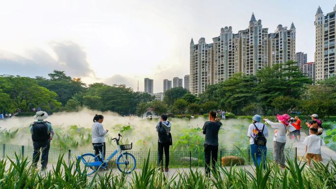 佛山亚艺公园禅荷花岛 荷花池喷雾景观延时