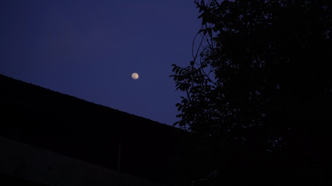 乡村夜景月光高挂天空