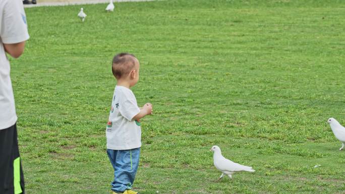 公园儿童喂鸽子