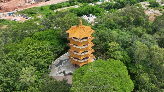 【正版合集素材】深圳民法公园