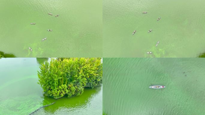 4K航拍昆明滇池志愿者守护滇池生态5