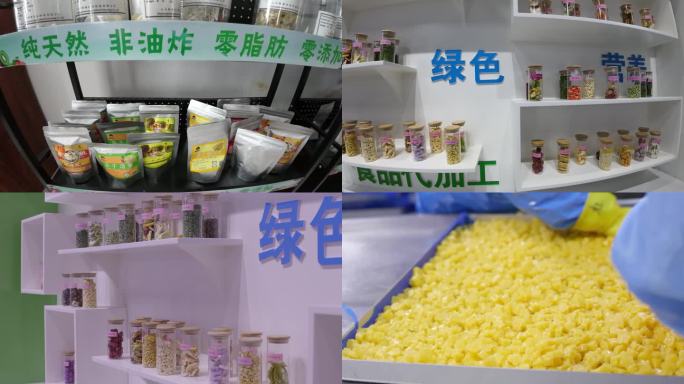 冻干果蔬绿色营养食品加工