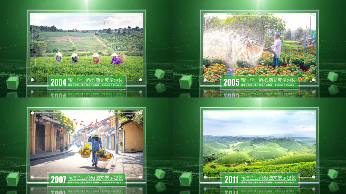 绿色农业环保图文展示包装