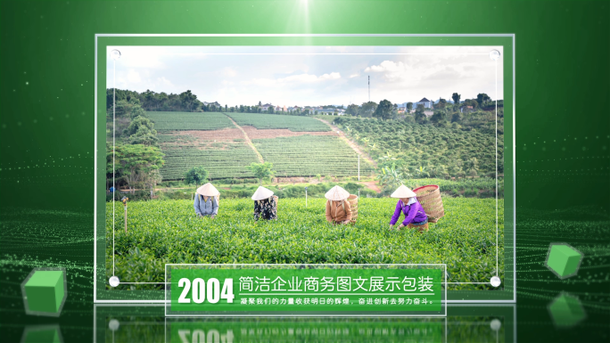 绿色农业环保图文展示包装