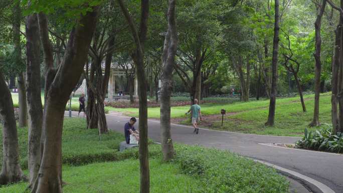 4K升格实拍，夏天广州天河公园散步的市民