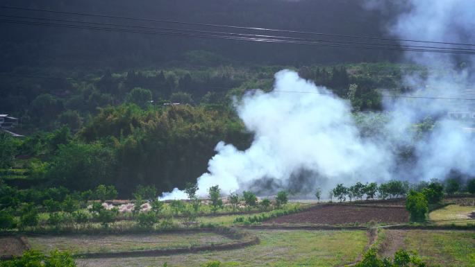 农田燃烧秸秆浓烟