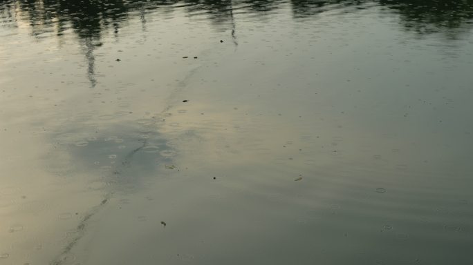 水面雨滴下雨的河面