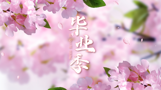 樱花青春纪念册