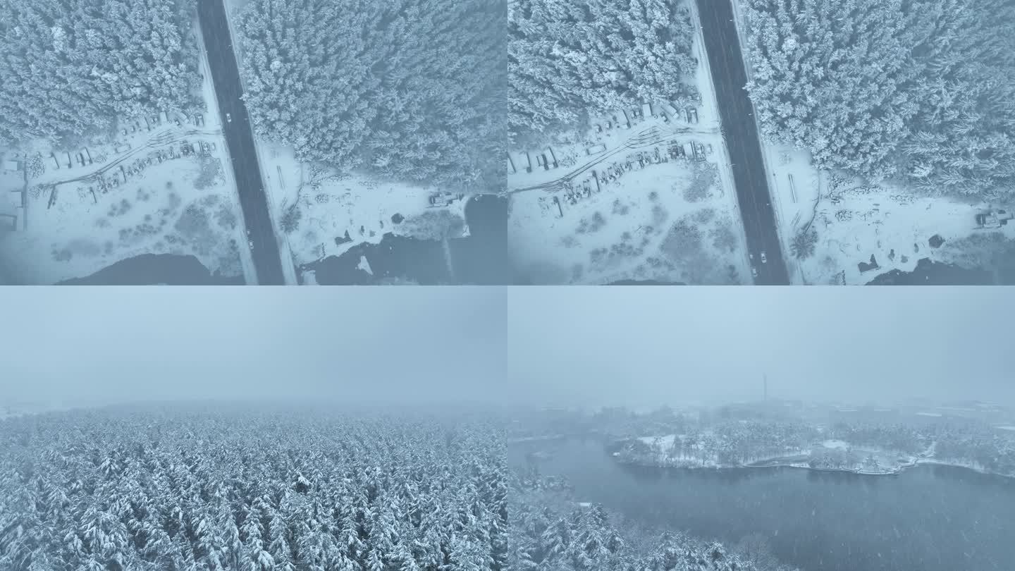 空中鸟瞰雪景雾凇道路空镜头长白山美人松