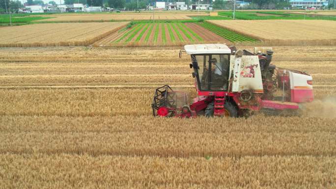 收麦子收割机小麦丰收三夏　农民丰收