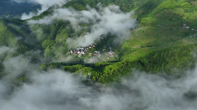 【4K无水印】航拍云海高山梯田古村落