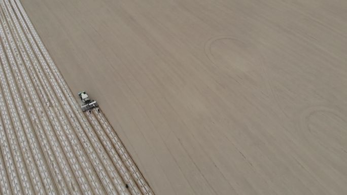 中国新疆库车 春天棉花机械播种航拍