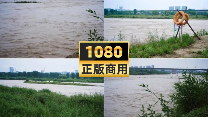 渭河涨水河流汛期洪水泄洪自然灾害洪水泛滥