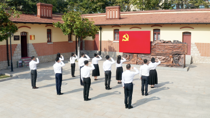 青年入党 庄严宣誓  七一建党节 宣誓