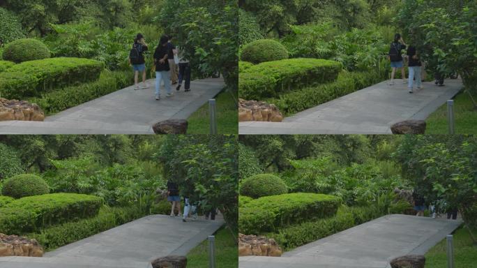 4K升格实拍夏天广州天河公园小路上的市民