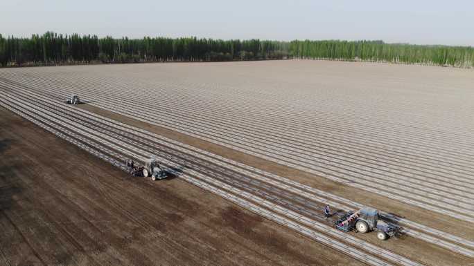 航拍新疆春季 棉花机械播种