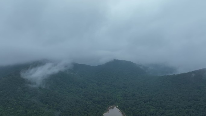 航拍云雾青山夏季自然风光风景