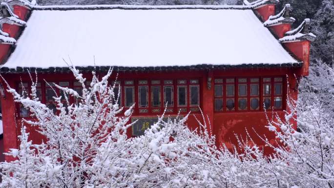 【4K无水印】航拍雪景红墙梅花