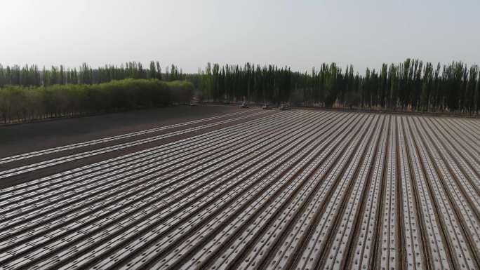 航拍新疆春季 棉花机械播种