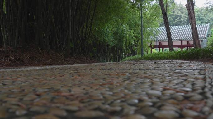 4K实拍夏天广州天河公园石子路上的市民