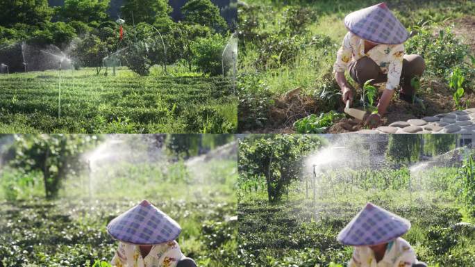 农田园林自动灌溉  耕种植树