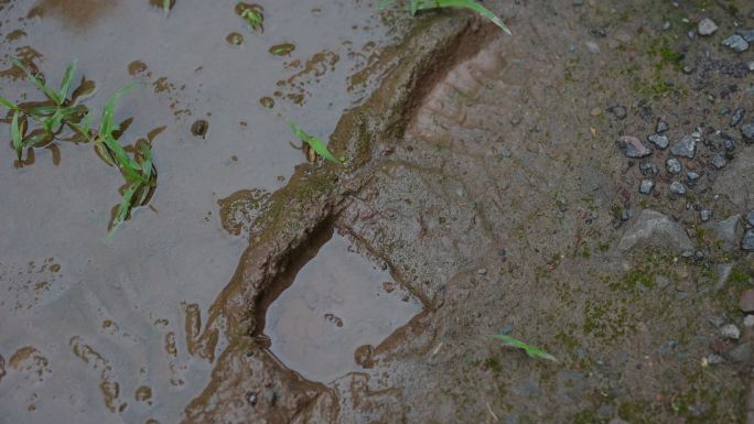 脚印下雨天