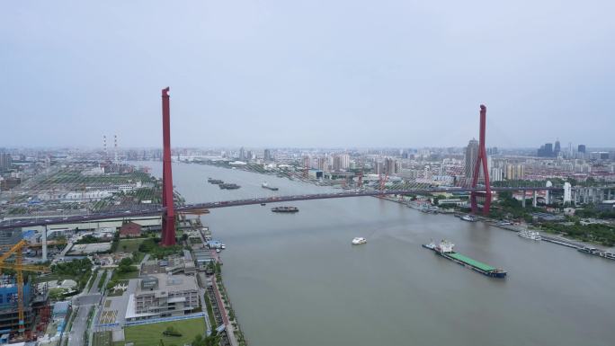 4k原素材-上海杨浦大桥