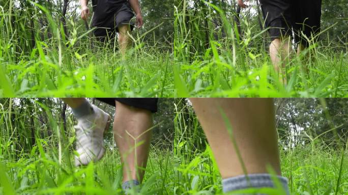 4K实拍夏天广州天河公园市民漫步在草地上