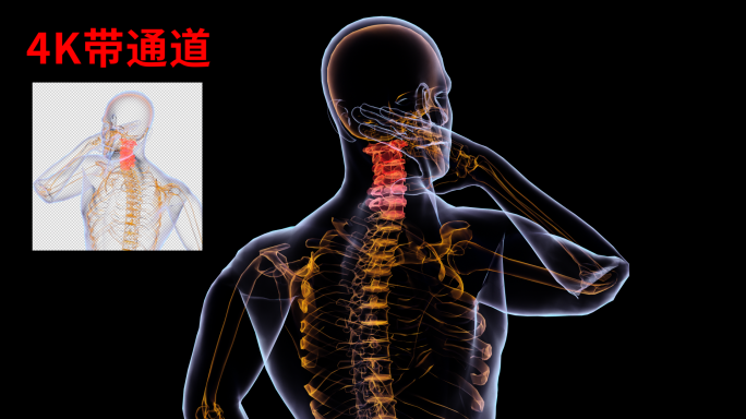 4K 医疗颈椎疼痛脊柱旋转视频带通道序列