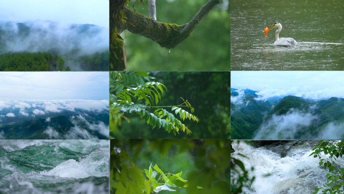 4k森林大自然流水山川风景树林山水自然雨