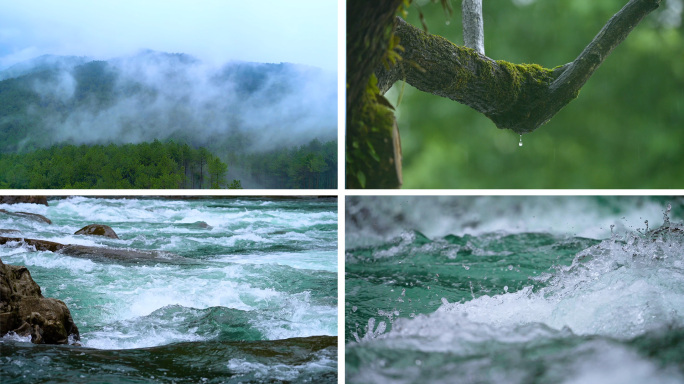 4k森林大自然流水山川风景树林山水自然雨