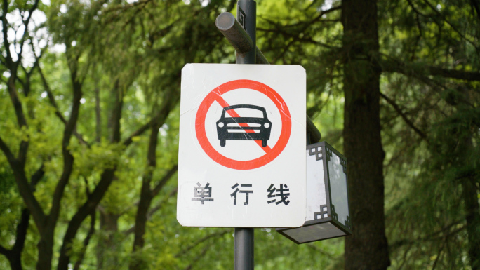 【4K原创】单行线禁止行驶标志牌
