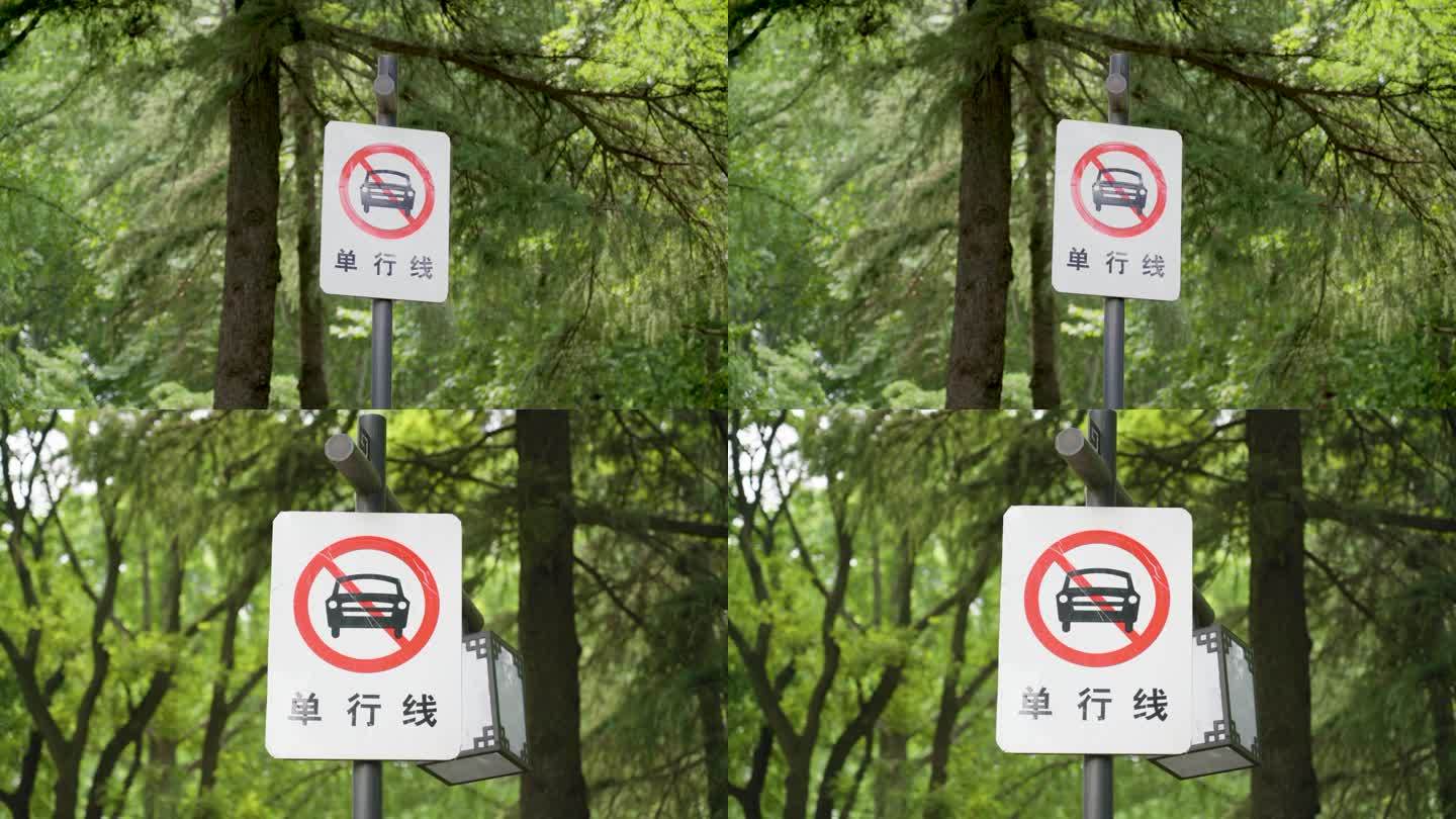 【4K原创】单行线禁止行驶标志牌