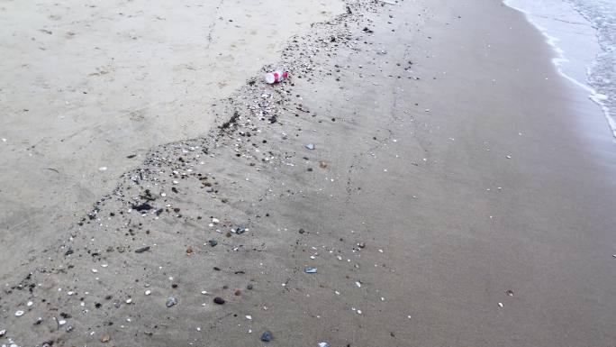 海边垃圾 废旧料瓶