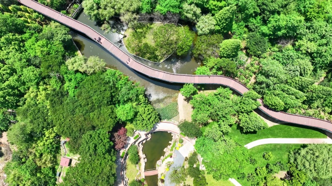 青岛太平山绿道日景4k航拍