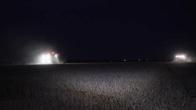 【原创】农机手夜间收割小麦 抢收小麦