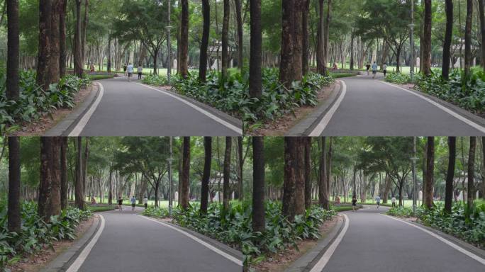 4K实拍夏天广州天河公园小路上散步的市民