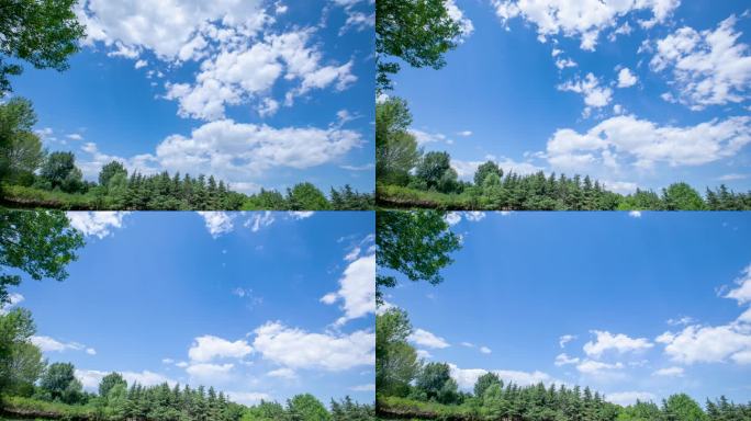 夏天城市公园蓝天白云绿树延时视频