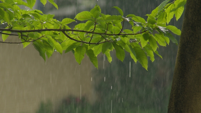 大雨暴雨雷阵雨