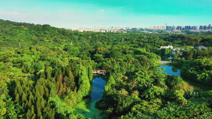 华南国家植物园生态