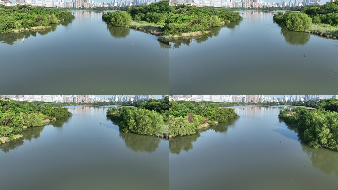 深圳华侨城湿地公园航拍