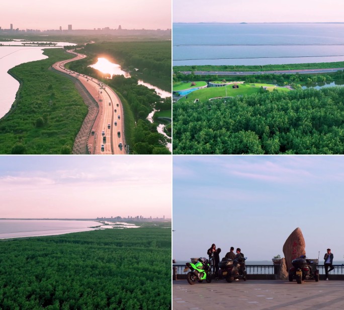 飞越巢湖森林湿地-环湖大道-森林湿地湖泊