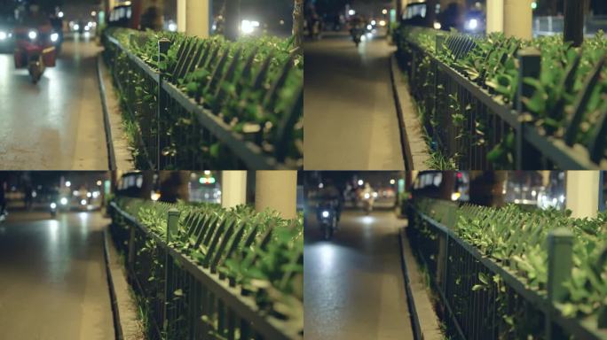 夜晚街道升格绿化带晃动树叶