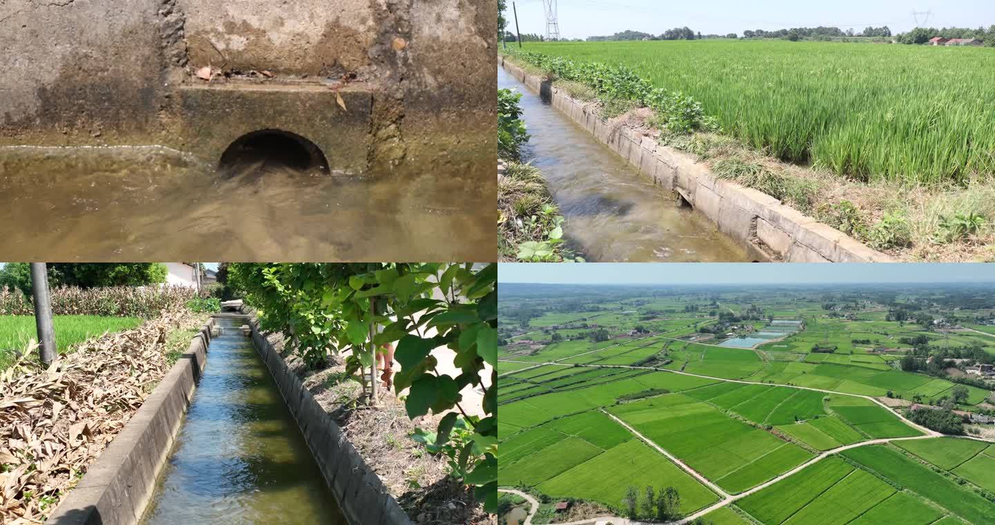 夏季灌溉 农田放水  水利工程 农业灌溉
