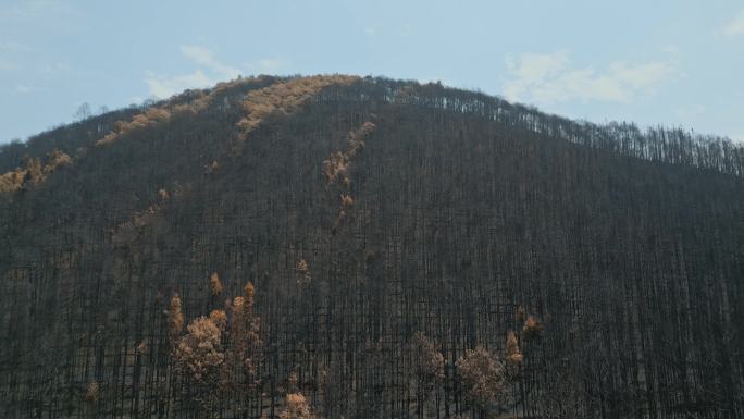 云南旅游风光腾冲火烧山