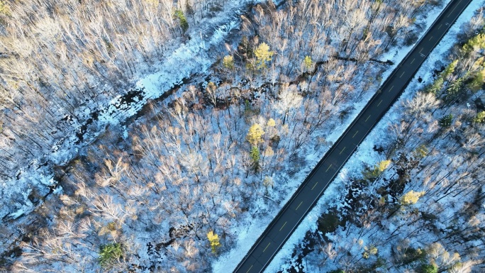 俯拍东北森林积雪公路林海雪原美景空境4K