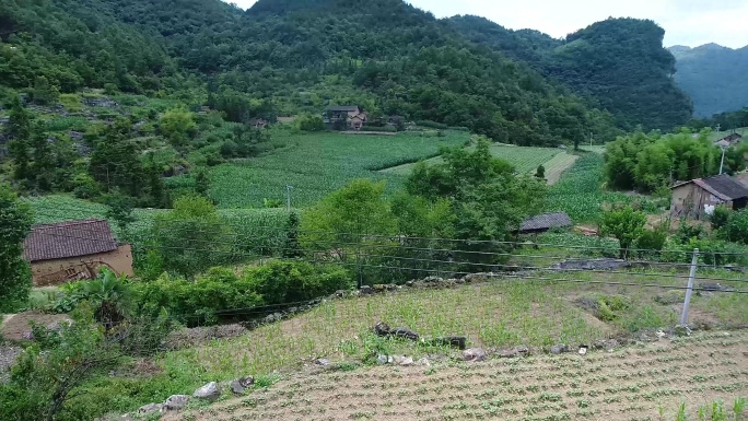 山村电线杆航拍